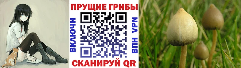 Галлюциногенные грибы Magic Shrooms  Омск 