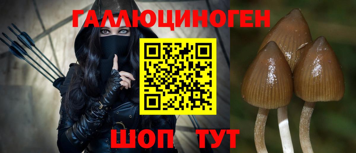 Омск  Псилоцибиновые грибы GOLDEN TEACHER  Вход с VPN 